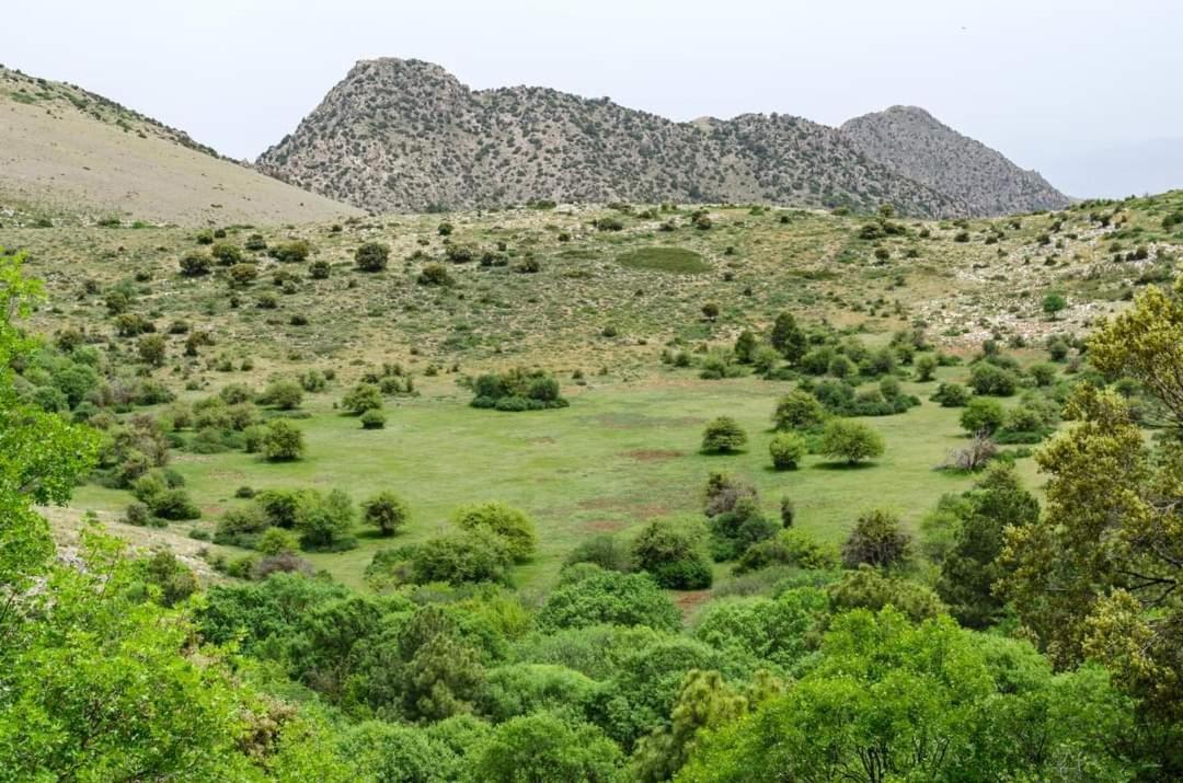 Гостьовий будинок Casa Rural Casa Gonzalo Belmez de la Moraleda Екстер'єр фото